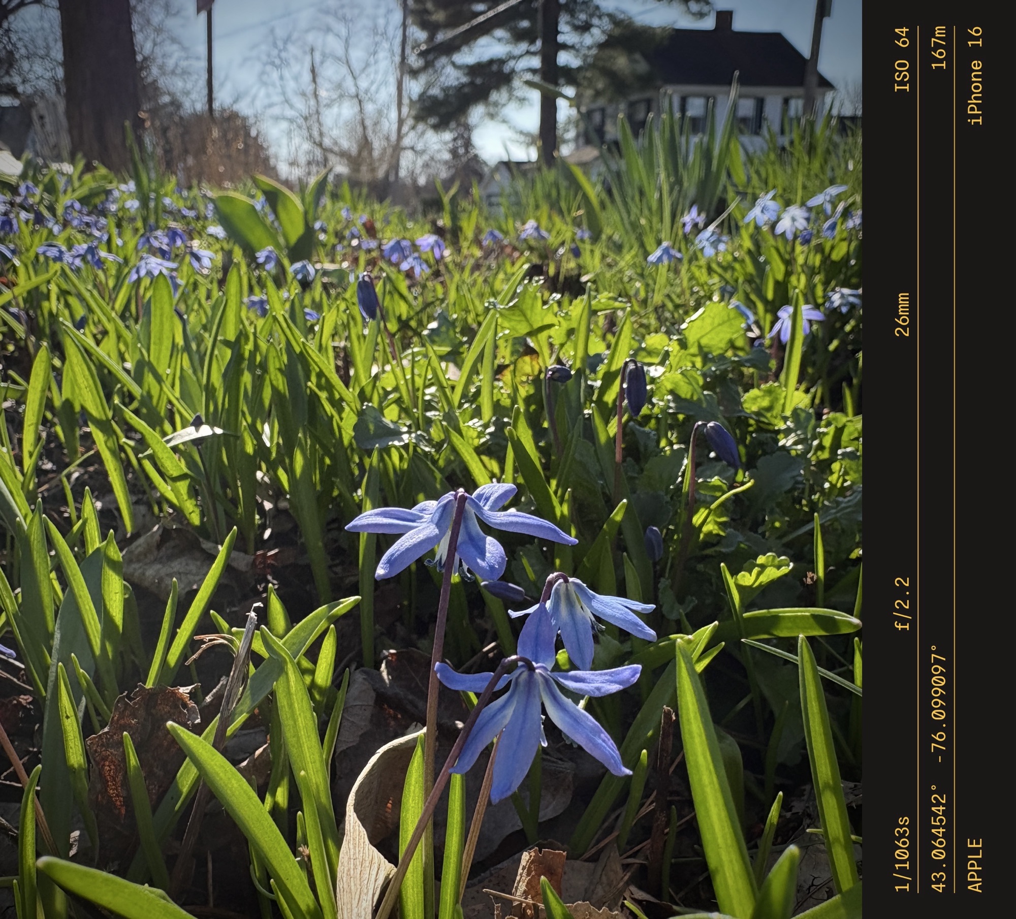 4/8/2026